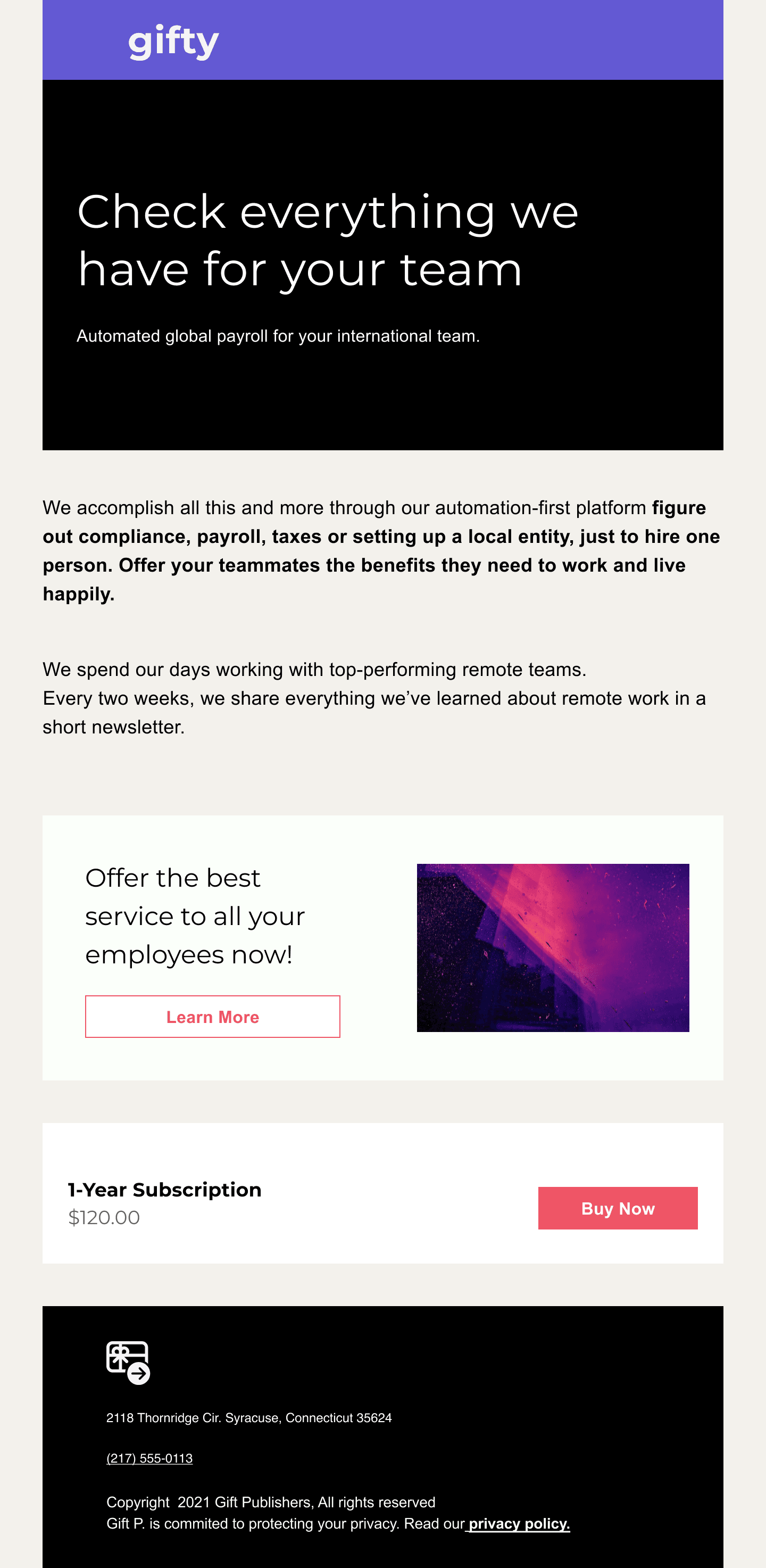 Sleek Product email template